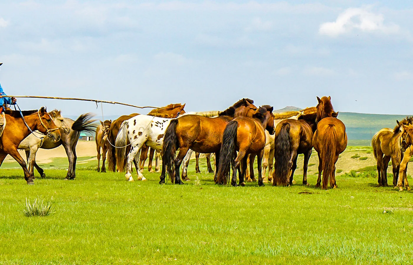 Inner Mongolia